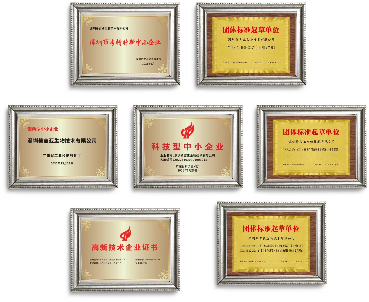希吉亚企业荣誉证书