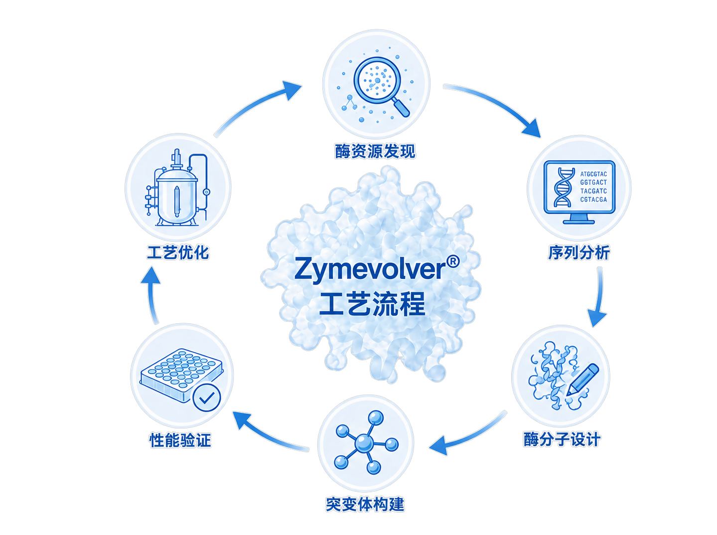 Zymevolver 工艺流程