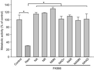 NMN is most effective at restoring intracellular NAD+