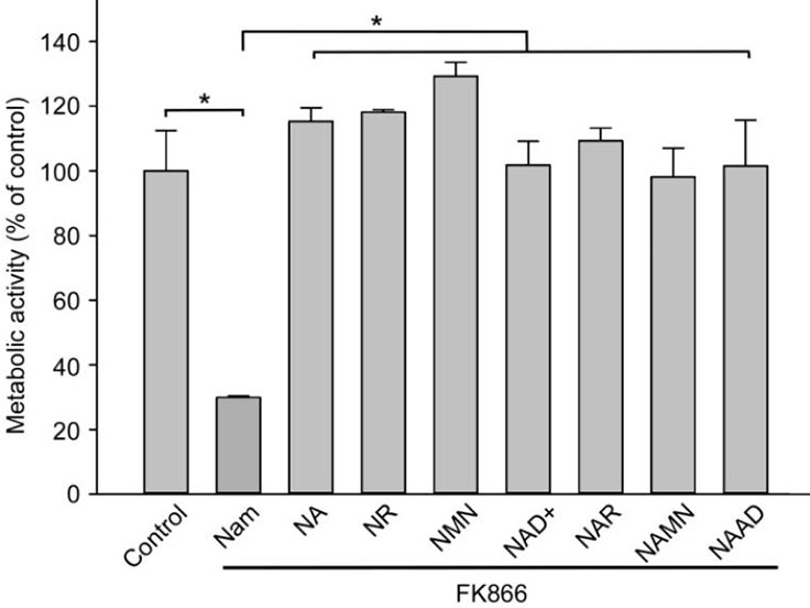 NMN is most effective at restoring intracellular NAD+