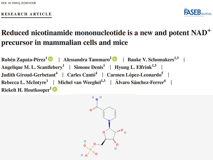 Reduced Nicotinamide Mononucleotide NMNH