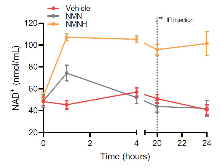 Blood NAD of NMNH and NMN in 1 hour 4 hour and 24 hours