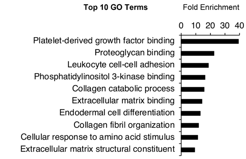 Top enriched pathways after NMN treatment in muscle