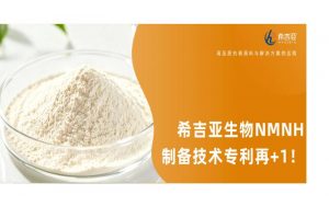 深圳希吉亚生物再添核心专利!NMNH 制备技术斩获发明专利授权