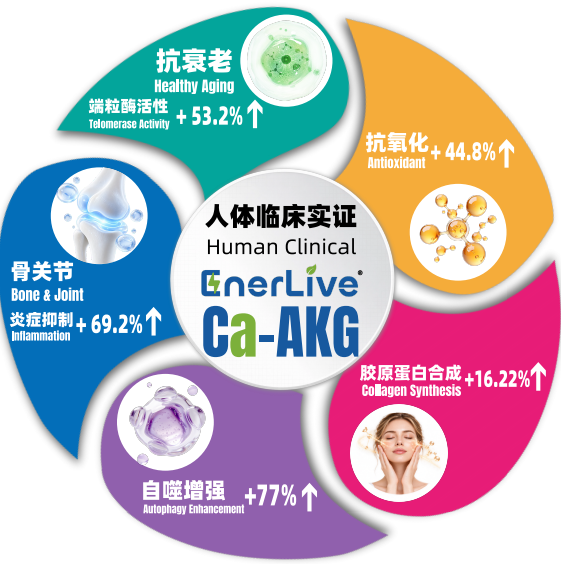 Enerlive Ca-AKG核心标杆原料